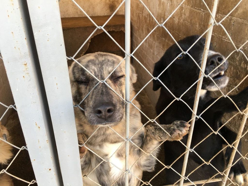 photo_2025-10-31_12-57-26 (2)