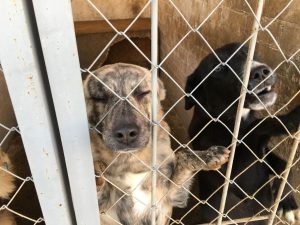 photo_2025-10-31_12-57-26 (2)