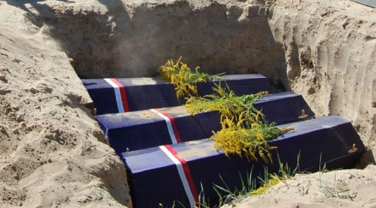 d6eba69a-7de3-4ec8-9a9e-60311c235bd3 (1)